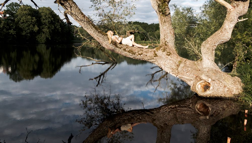 Mirka liegt auf Baum in Sonne am See.